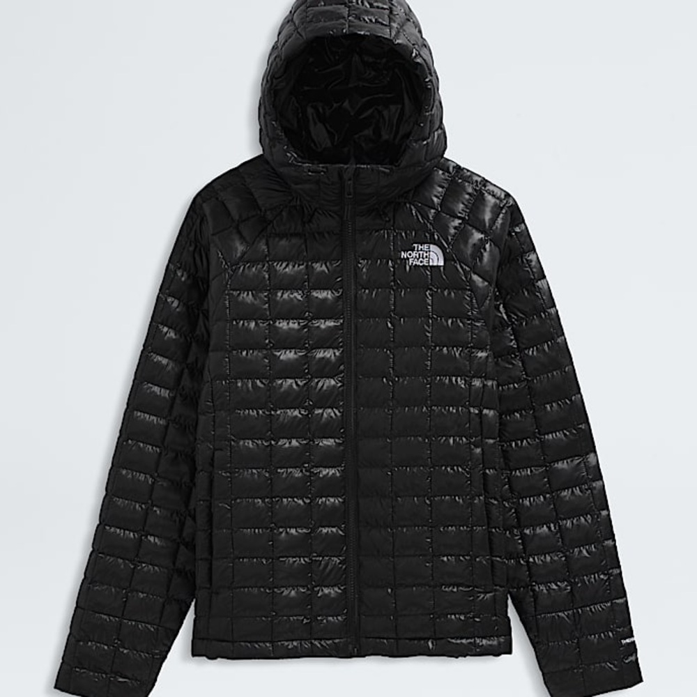 The North Face ThermoBall™ Eco Hoodie 2.0 Quilted Black Hooded Jacket